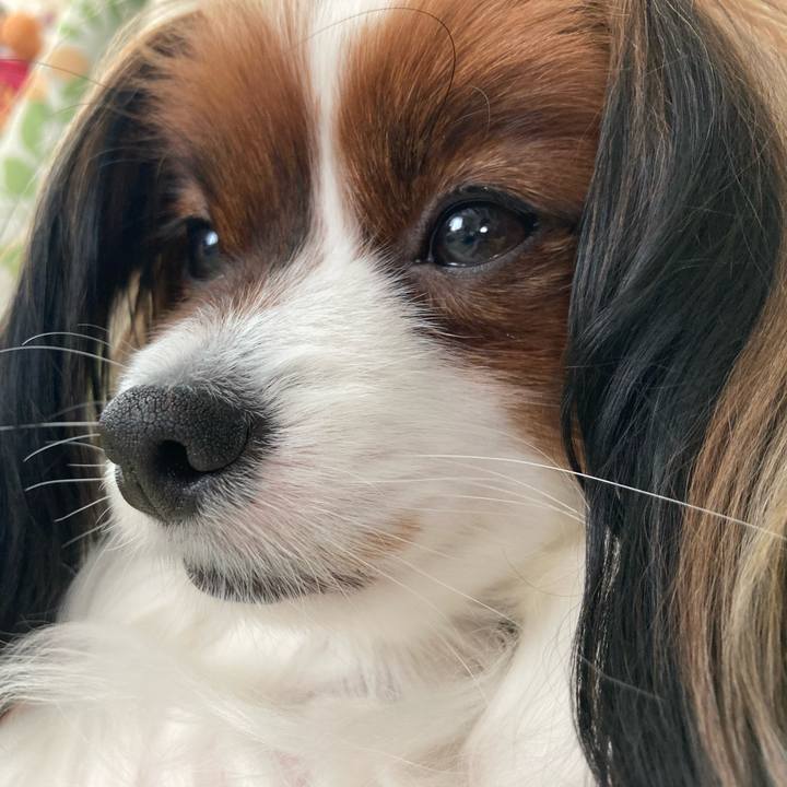 56f54886 d319 47d6 bcdf 02c6ef29bfa5 1649224466574