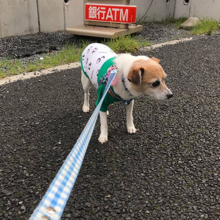 56f55bb8 0087 4a42 8362 d32eea175943 1621726214192