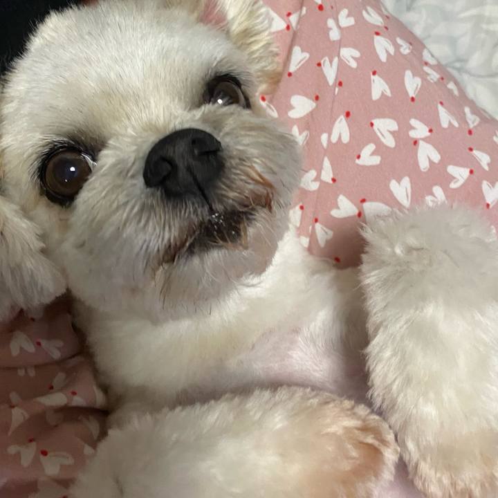 56f5647f 3289 4f49 9e33 5047c090506c 1663585890465