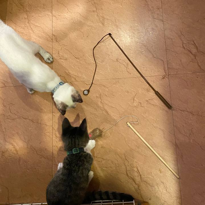 56f58648 31ee 428b 85e5 48a2a2831869 1631007632883