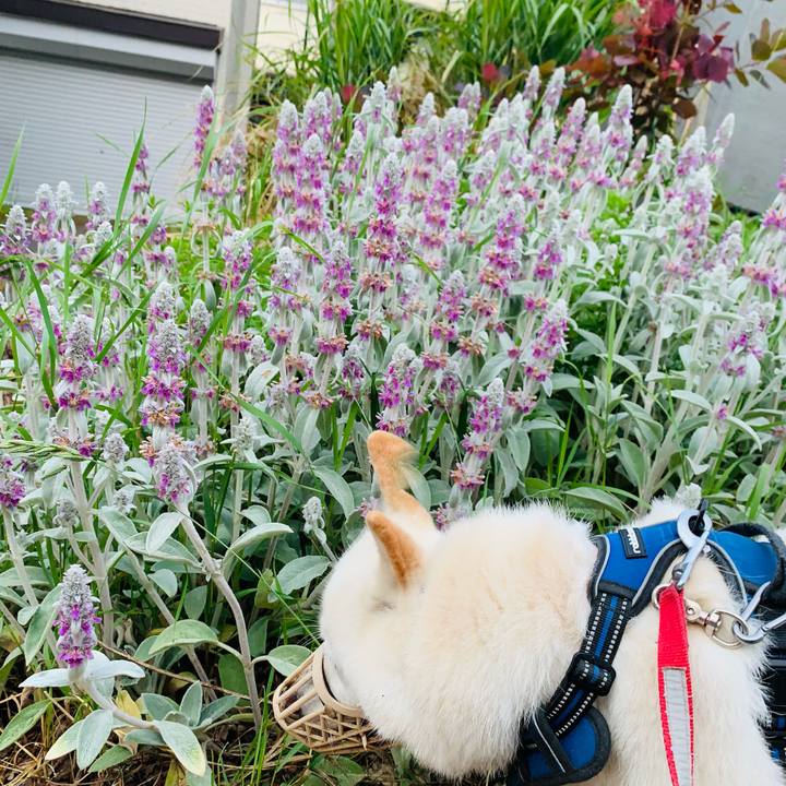 56f5c165 d1d0 4bfb a048 0c6979d45b3c 1624740889594