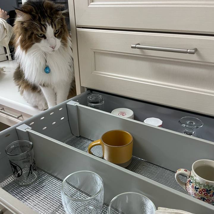 56f5c608 acc7 4ea3 bc68 9d23ec1c362d 1731529543097