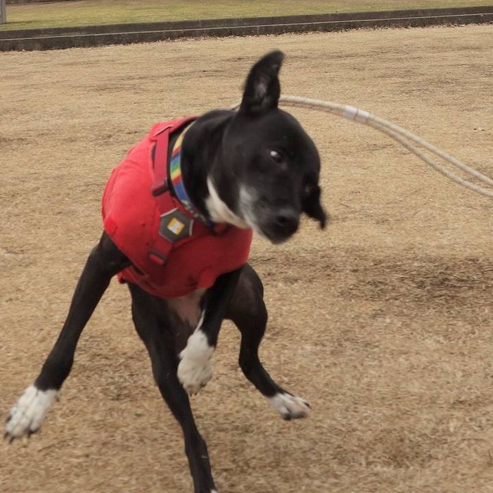 56f5dc31 d9f2 45ff 8d47 60d14b2f2d93 1674521269865