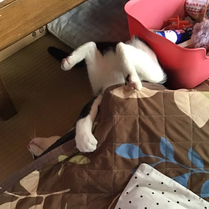 56f5dfe1 4c8a 4b42 bc0f 26ab4dd80d8f 1633235261404