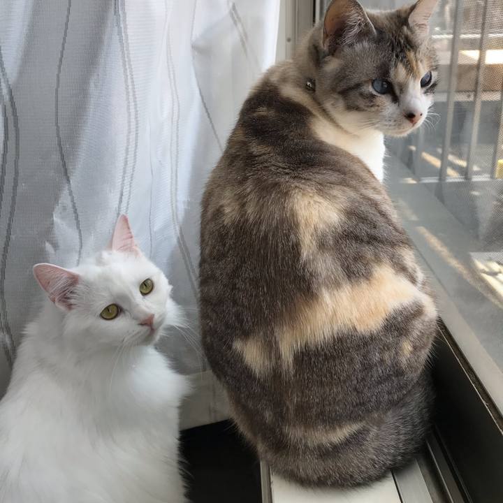 56f5e494 832b 4daf 848d 64d5636686f2 1558079868065