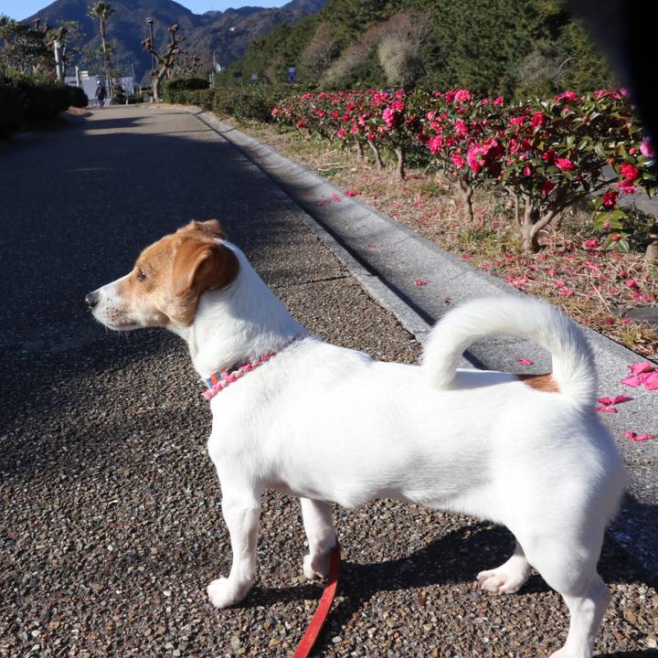 56f5f189 a67a 4bba 80bd 928b89f8bd18 1515034018812