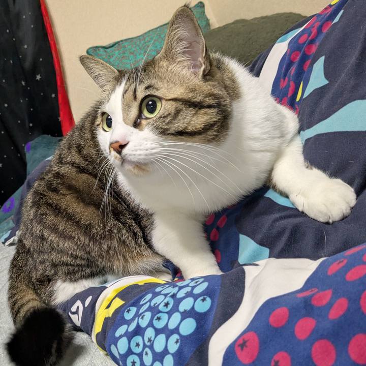 56f63712 747c 4b53 9475 ac16a63425ec 1737033774477