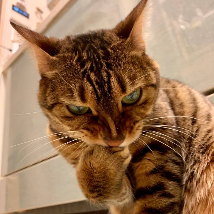 56f66c24 42f9 49cf 9482 a562316b6c9e 1547349333515