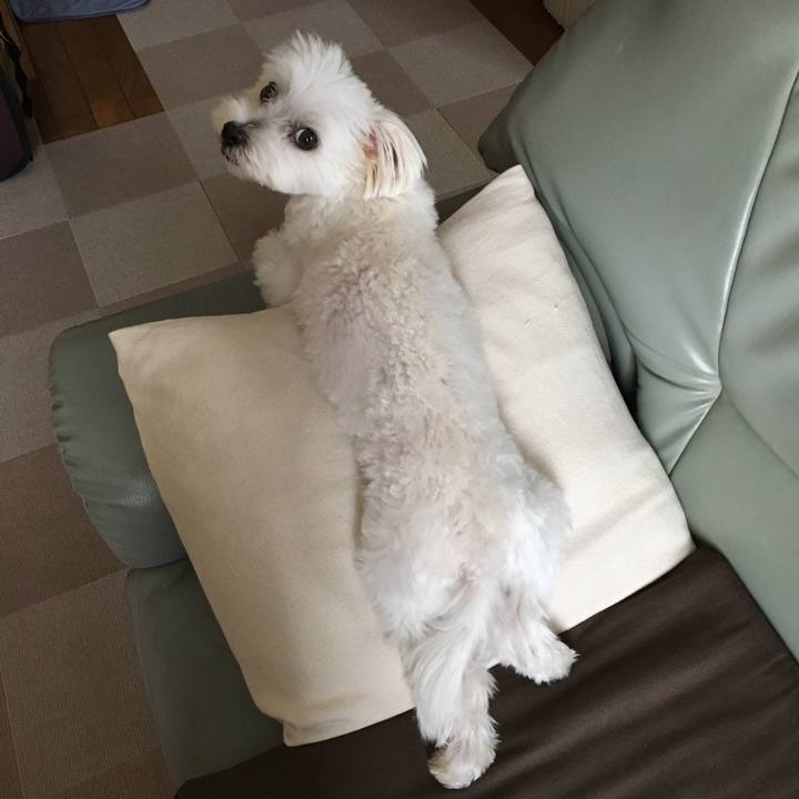 56f67032 a73e 4566 9a7b 4ae378a1575c 1565955635757