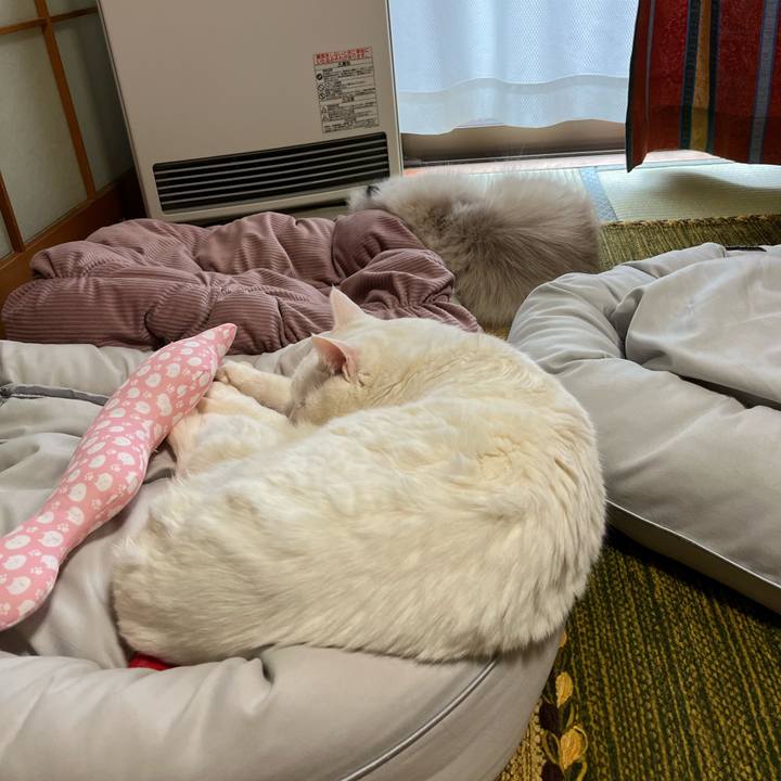 56f686e2 2657 49d5 8602 1d89231fac12 1675492418424