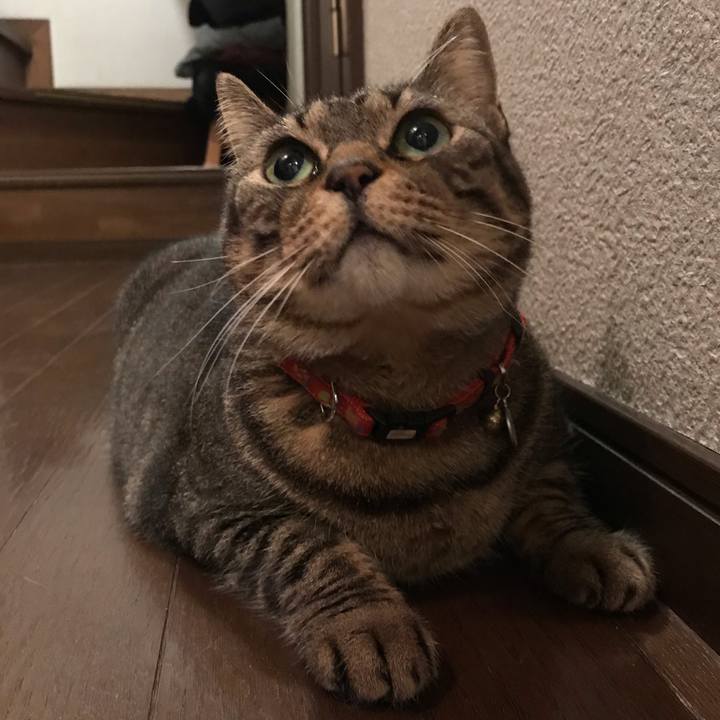 56f6886f 1b4c 4b8e a1cd 7865f4afc3c3 1612617060963