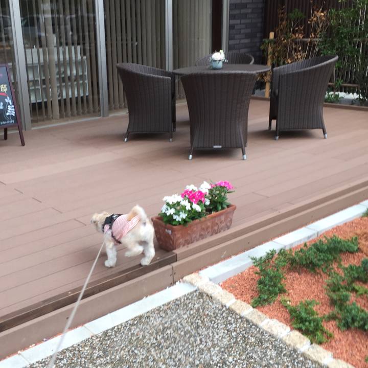 56f6a985 d16b 468c a19a 1e4025389ba1 1565475006554