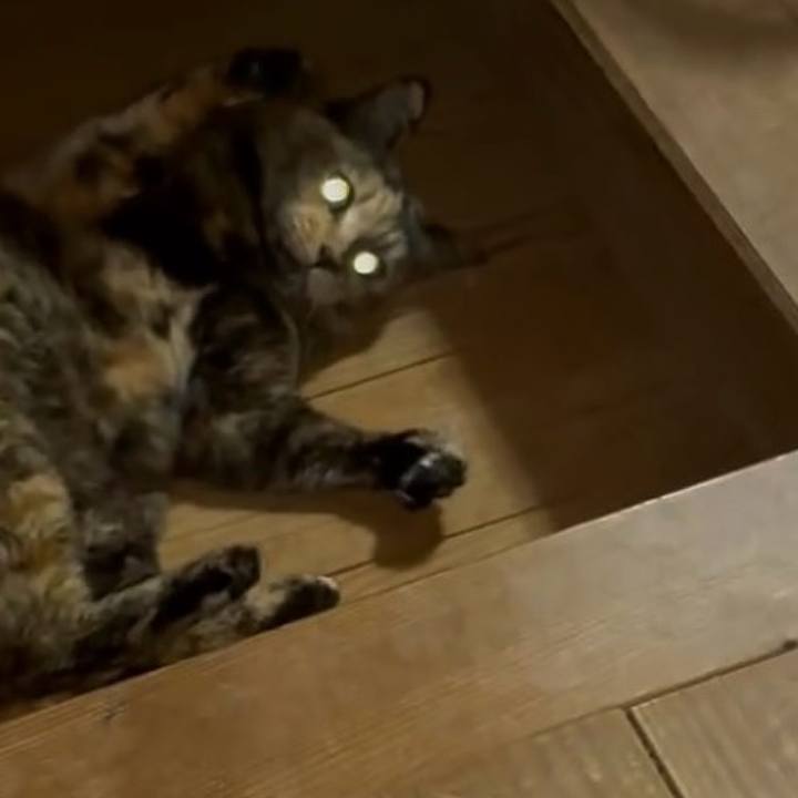 56f6d8cb 20e4 464b b878 500dabd637a0 1744922206059