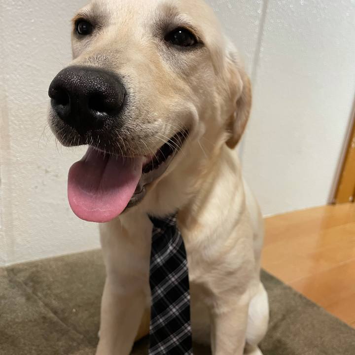 56f6ecd0 a253 492d 875e 30c16479ba77 1625088278908