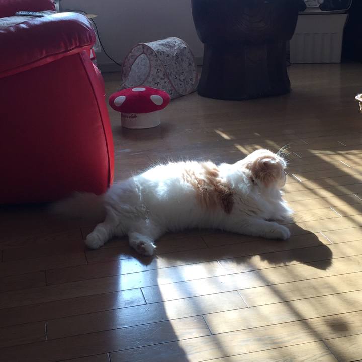 56f6f924 20ef 41f2 a6ad 8f55825dd265 1528239708536