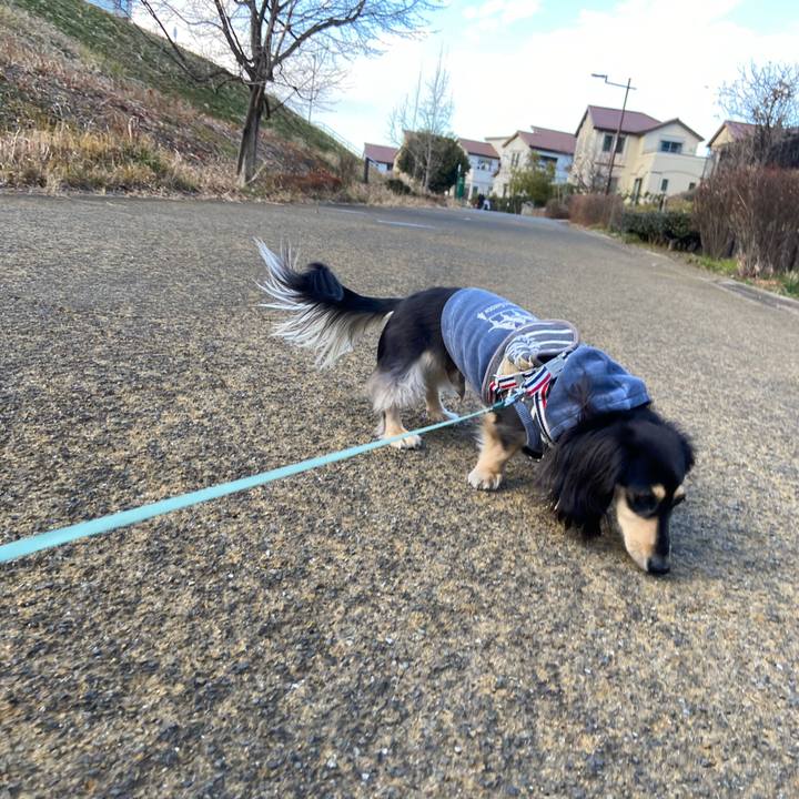 56f70e50 5873 420d 9cbe 40c3ac2fefae 1737529094606