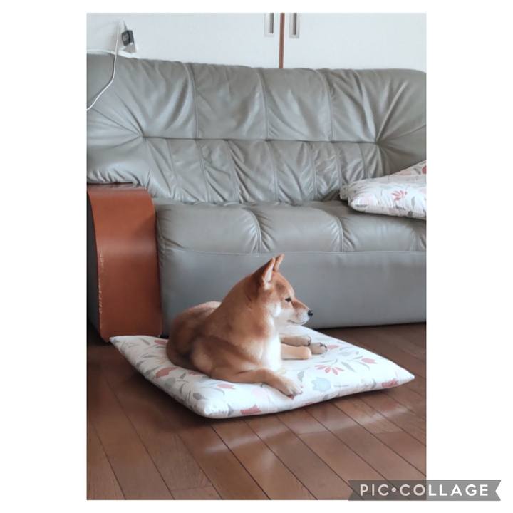 56f74622 54ba 4cf5 bd39 8e7bb86d4985 1673484500939