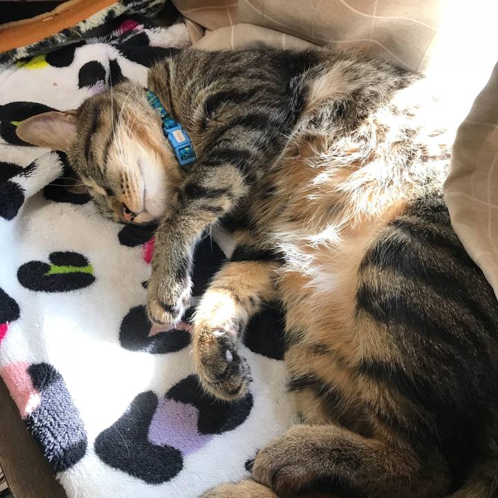 56f74b33 b9a4 41de 98ee fb09d7fd6496 1537411502074