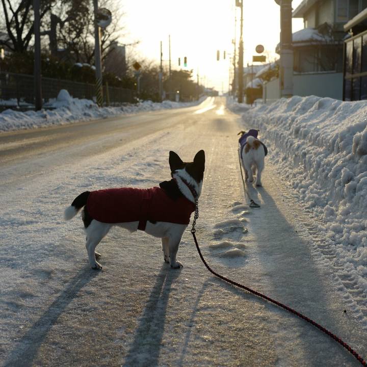 56f78f27 d96d 4eb7 a24a ce3bfaf74ea7 1518239475149