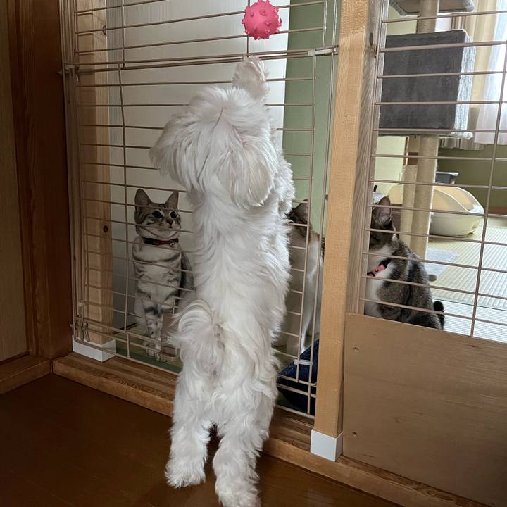 56f79e62 8158 415f 9899 294c5ca95531 1716108152841