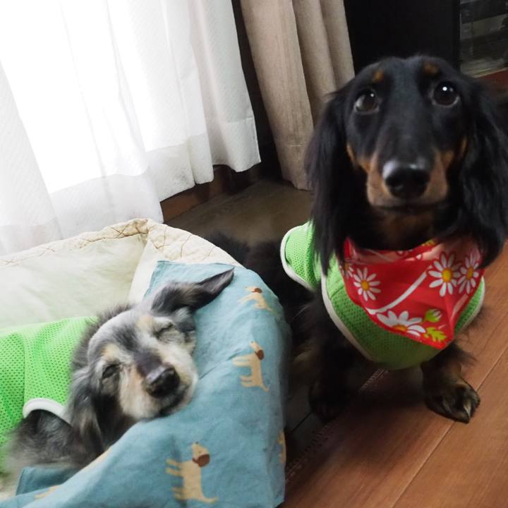 56f7a63a ce83 4a95 9f01 ed6067debcae 1654581516277