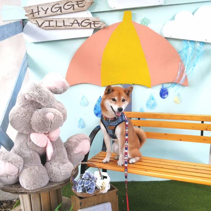 56f7c6ff eb23 46bd 8c72 b2ea7dd176c2 1654321053325