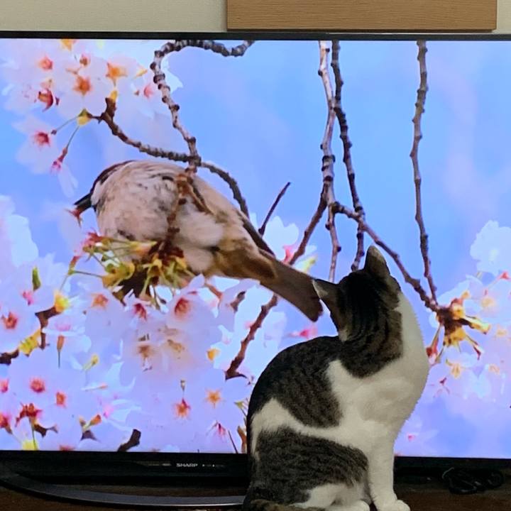 56f7e083 5d6d 4fec 94d4 b9876d199fb7 1712444619088