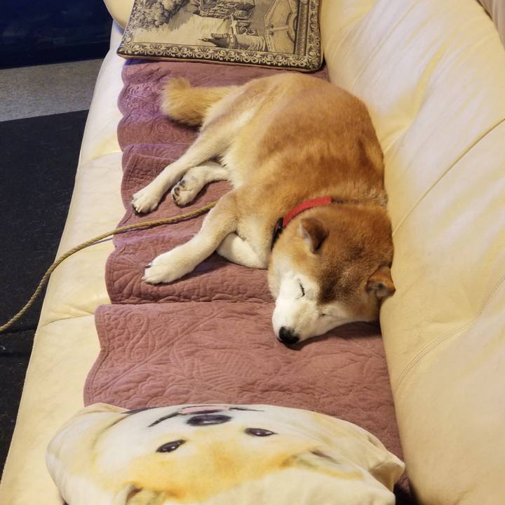 56f813f3 9610 4d76 9551 93ad24eedcfe 1732401874783