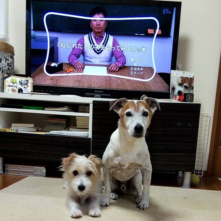 56f830a6 3229 4646 8ad4 8c1b0403b064 1566426105666