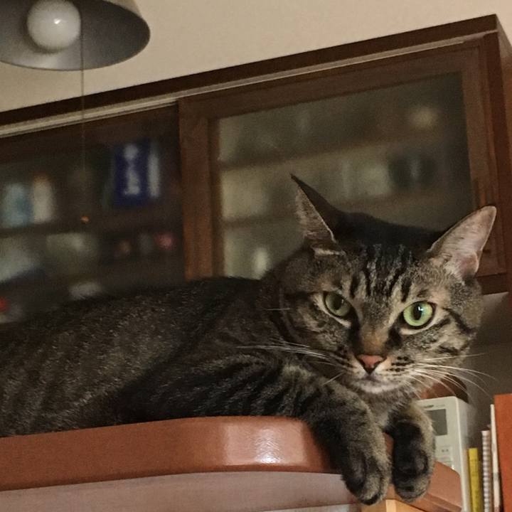 56f84ad0 3a3c 48ee 9661 851346b54f20 1537076582499