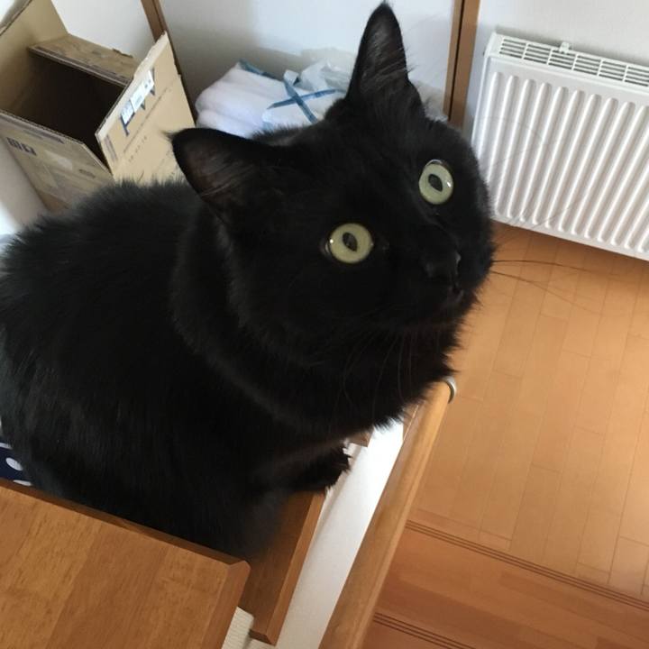 56f8edd2 bf06 4547 940e c60935b85d7b 1520760502264