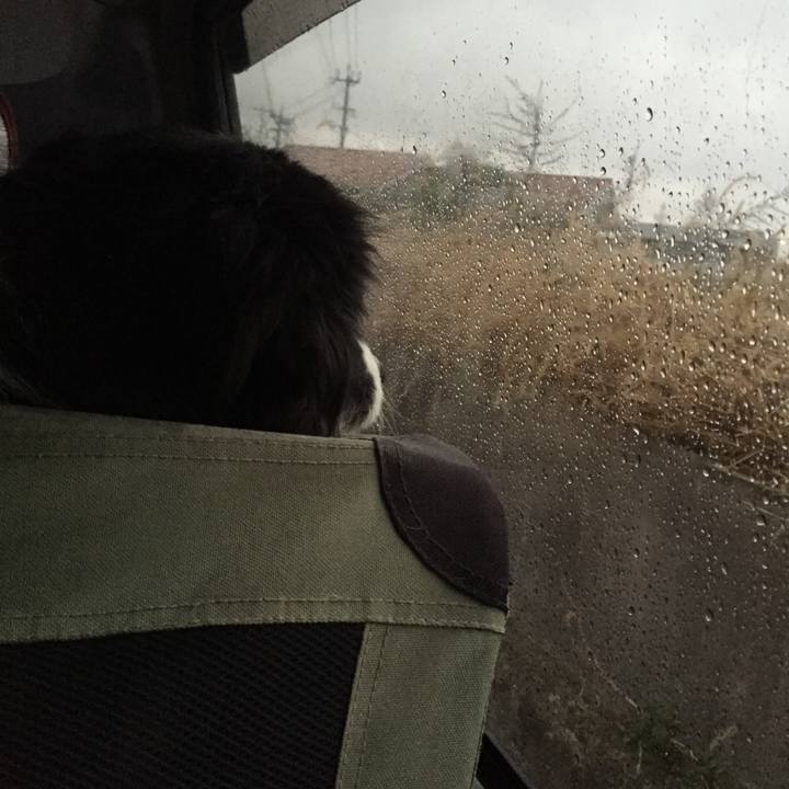 56f92d96 f03a 4a9c 9b77 fa735016c7f8 1546641404409