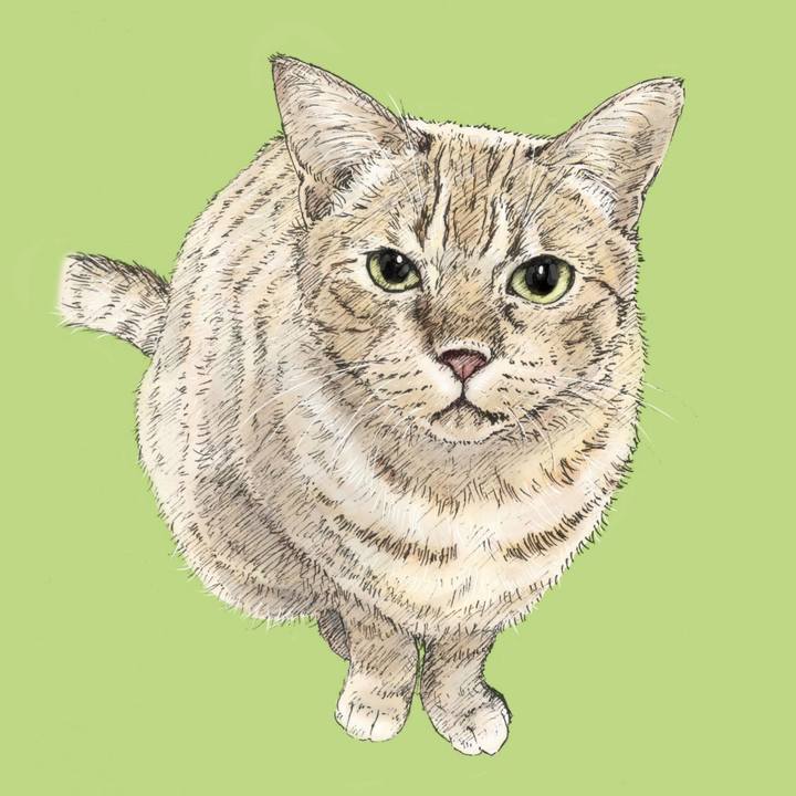 56f950fc f6db 4824 93fa a6dec658f9ea 1576852538207