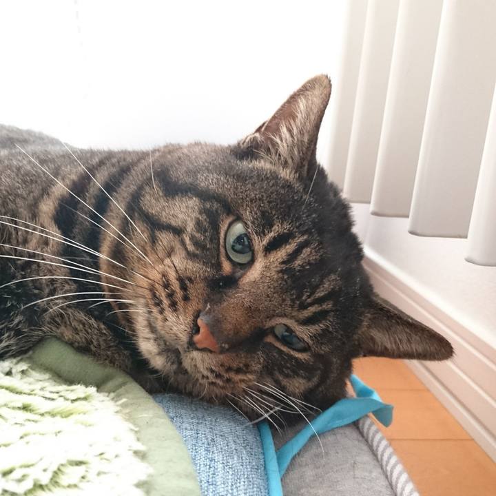 56f95eeb 7e21 4012 85aa 31cc78dfbeb1 1547899211627