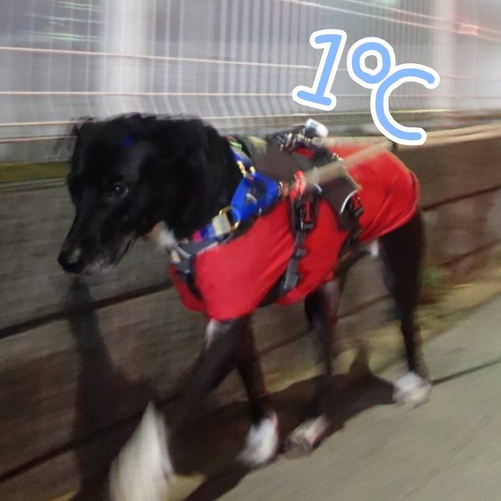 56f9669a 6bd9 4771 b3a5 aaa0745cb362 1640515905468