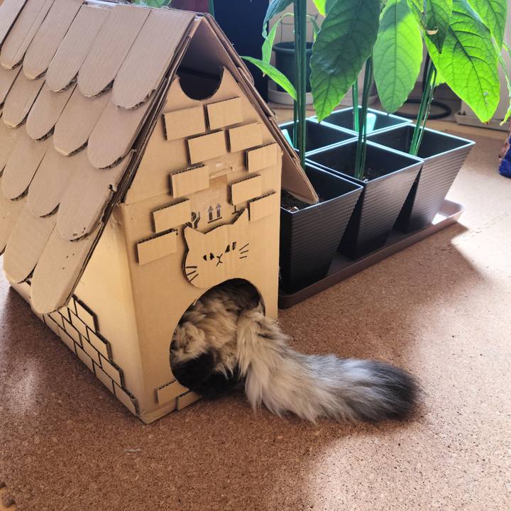 56f9789d 9c6b 4854 9816 c52b883aabf7 1636599518383