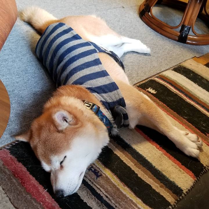 56f97c1b 41c7 4361 ac46 353dbf649504 1581028599027