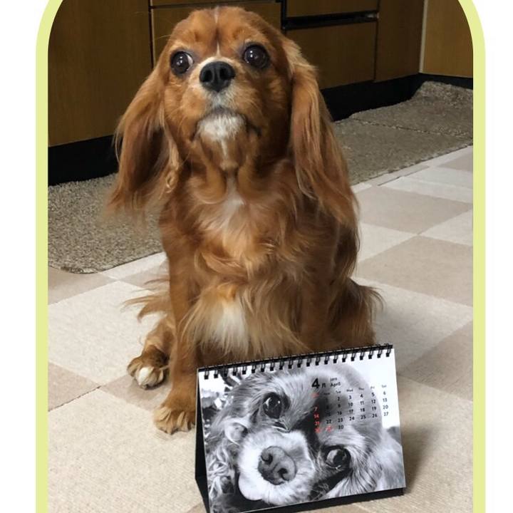 56f9868f 9508 4e86 8c02 1fa6aa10f32e 1554071280503