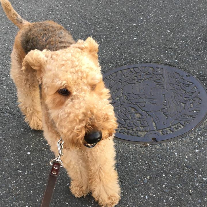 56f993d3 fa82 49c8 8526 496805a8c897 1509363575526