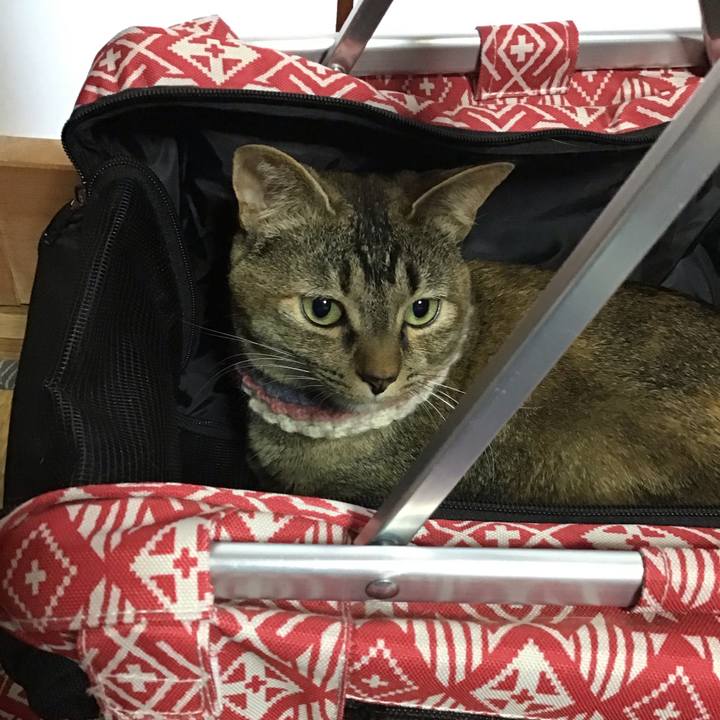 56f9bf35 a760 466a b5cb 45391dae3e37 1624772499663