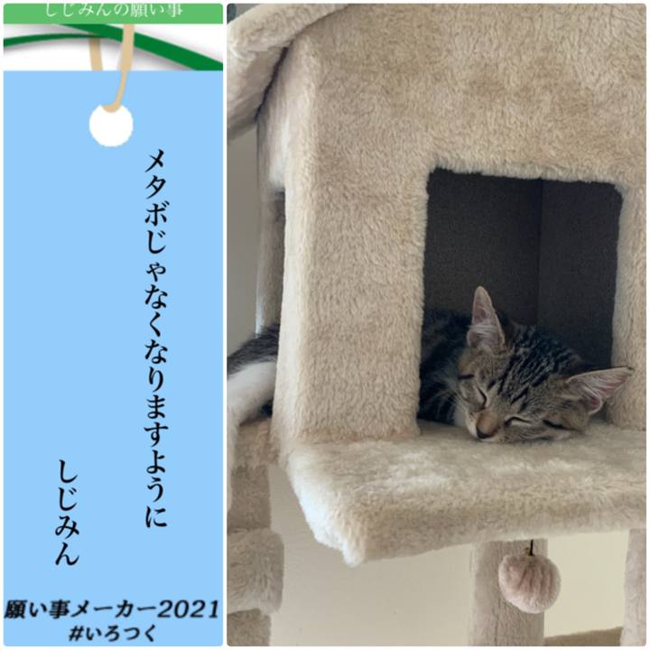 56faab18 4fcf 4f92 b4d0 f2fe8074d08b 1625639626096