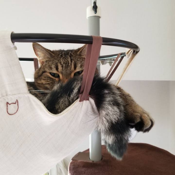 56faf4ea 10d7 4114 b429 d53c88387dcd 1603509747531