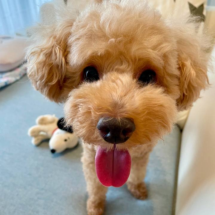 56fb0bde bfc6 4aee 9359 5c4f18c25e0a 1628607170525