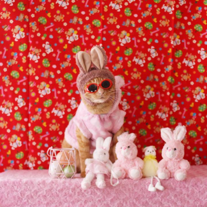 56fb3100 c400 4b05 83fb 79aee7ac012c 1745027463662