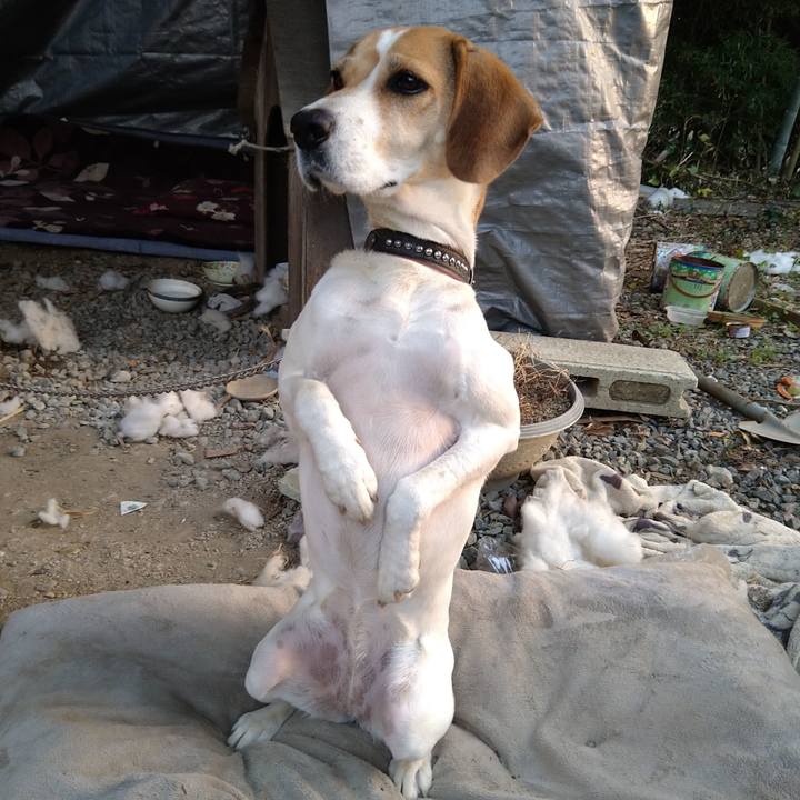 56fb4fad 1643 4ddd 98f2 f7bb1d69c7aa 1637242817274