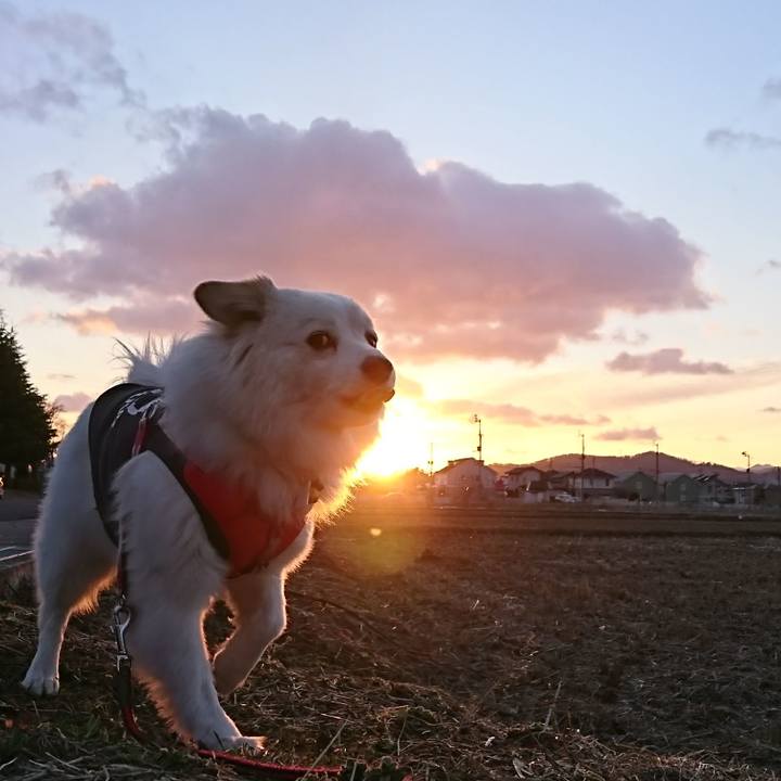 56fb9ede 6316 402c a7c6 4eb4b482d00b 1518819029269