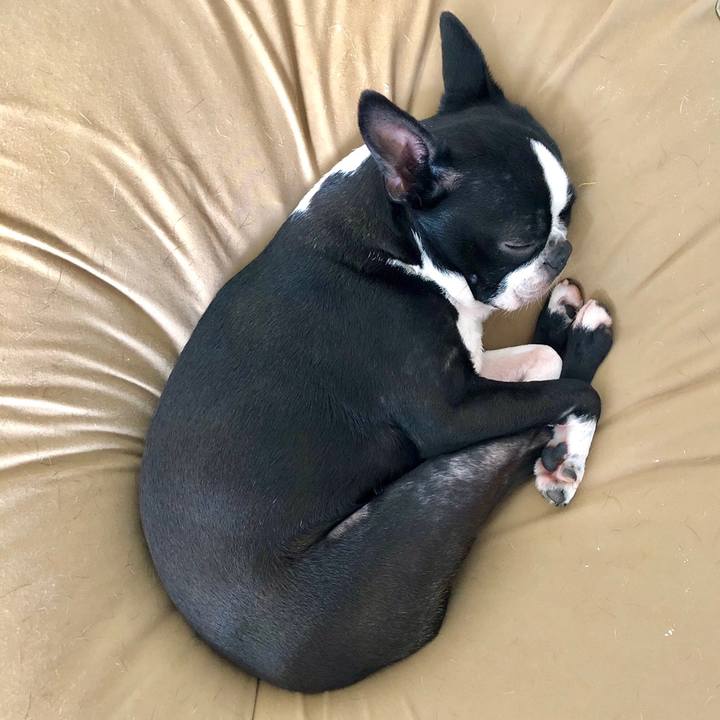 56fbb3d7 4cec 4e16 bc17 38a4c5eda576 1558411631491