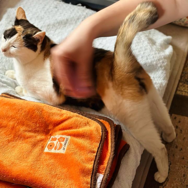 56fbc8ea 3619 4ec2 9c8f 1c944a41808f 1686536636243