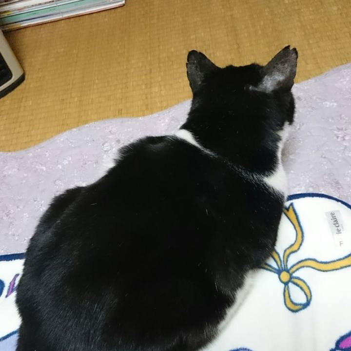 56fbe070 0346 4527 806d 925af543af90 1519133328805