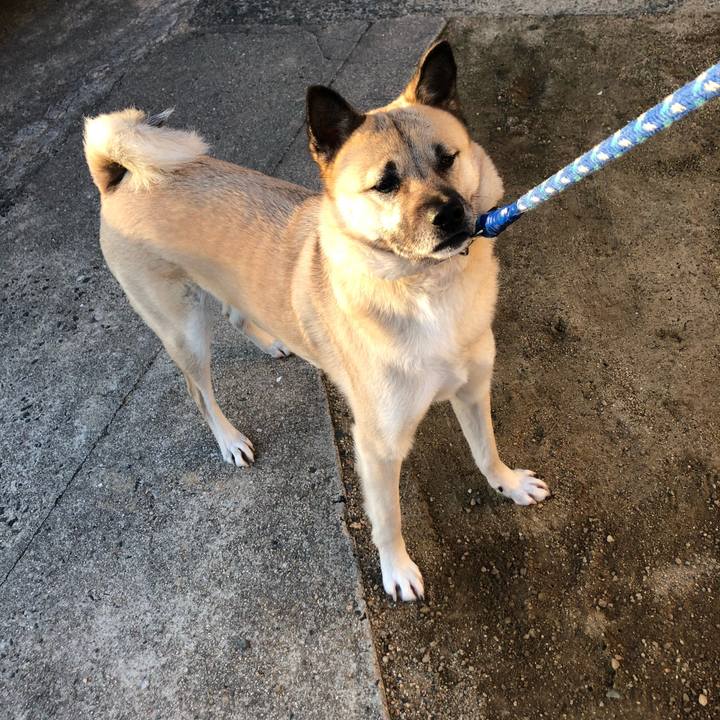 56fbf2f5 c84c 4ead 8fe0 a6b1a2dfd348 1614253633598